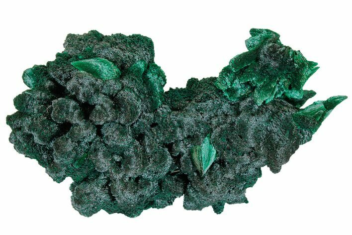Silky, Botryoidal Malachite Cluster - Congo #175355